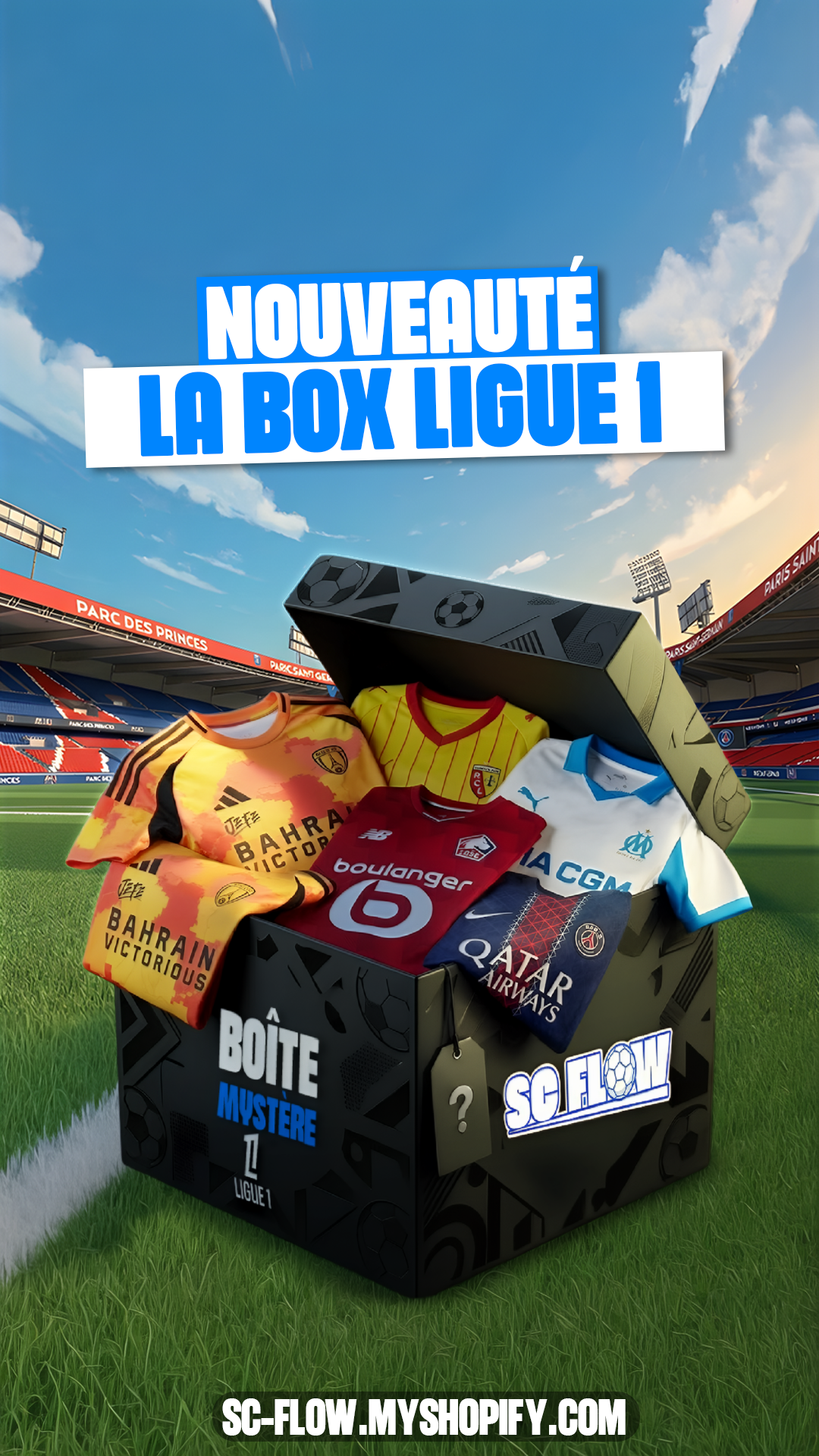 Box Ligue 1